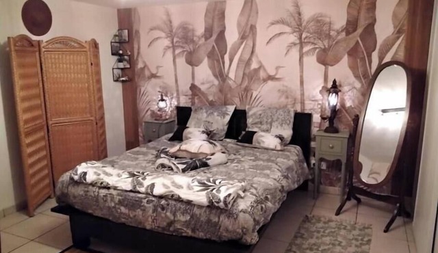 O Tour DU Monde , L'exotisme au Sein des Châteaux Renaissance et de Beauval