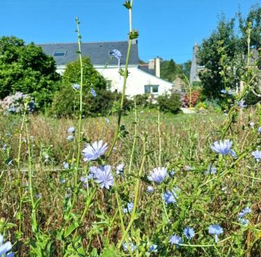 O'TY'ZOISEAUX - Plus proche de la nature - Meublé tourisme classé 4 étoiles