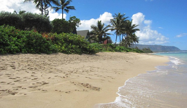 Oahu North Shore Cozy Condo Steps From The Beach