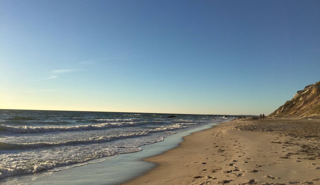 Oak Bluffs, Martha's Vineyard rental by the week for July and August 2022