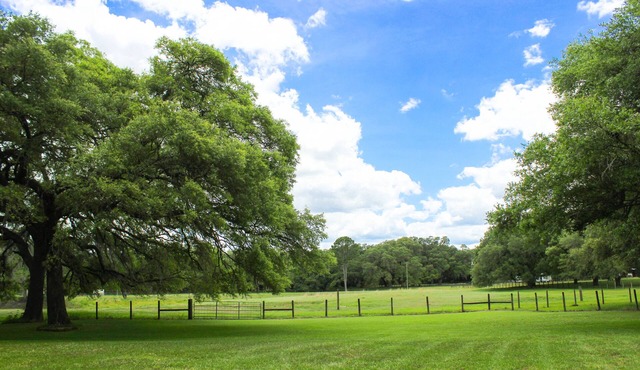 Oak Flats Farm - Pet Friendly - Star Link - Outdoor Shower