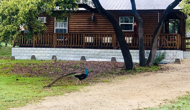 Oak Hollow Cabin at Canyon Lake