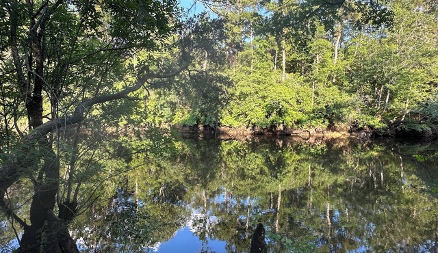 Oak Pine River House- Ohoopee River