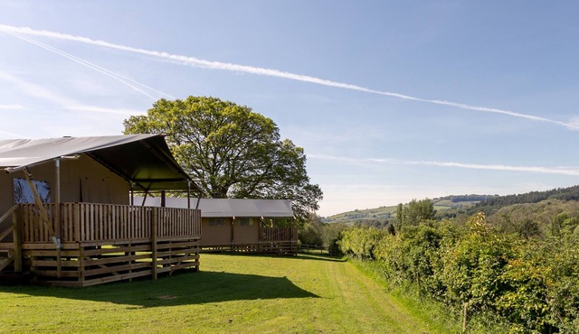 Oak Safari Tent, the perfect family and dog friendly glamping site, Devon