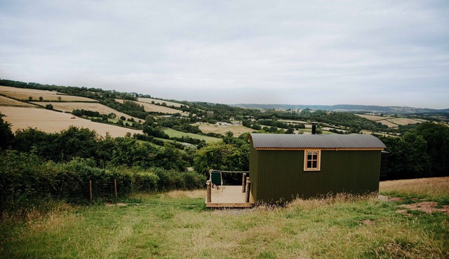 Oak Shepherds Hut, Wiveliscombe