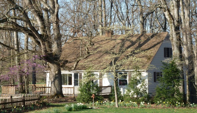 Oak Tree Cottage: Beautiful farm with mountain views.