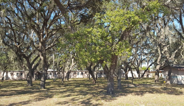 Oak Tree Inn