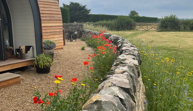 Oak Tree Retreat - sleeps 2 guests in 1 bedroom