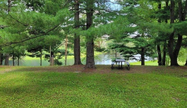 OakHill a Peaceful Paradise!