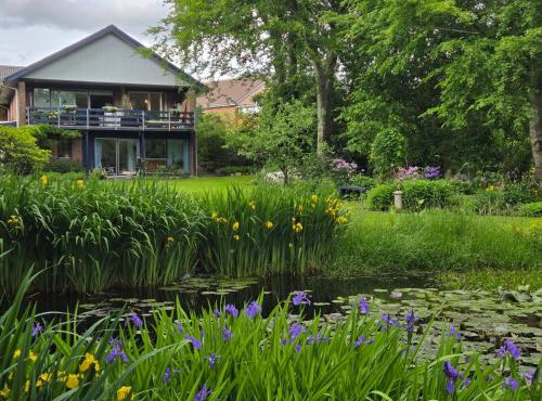 Oasen - hyggelig lejlighed