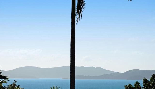 Oasis 25 Hamilton Island