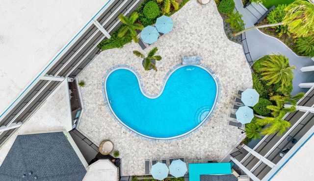 OASIS BAY SUITES, Tampa, Busch Gardens, USF