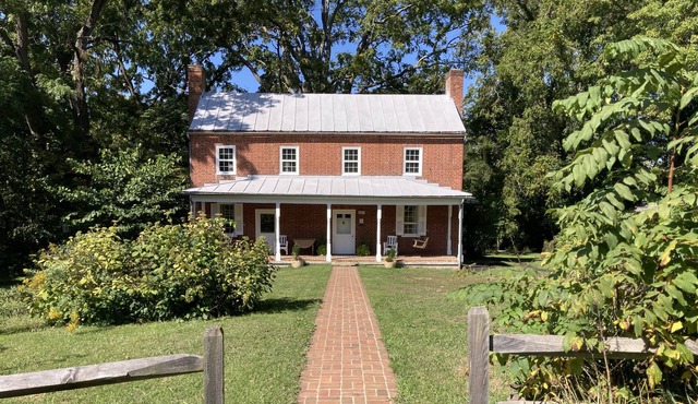 Oasis in Blacksburg. Walk to VT. Artful decor, trails, huge yard w/ fire pit.