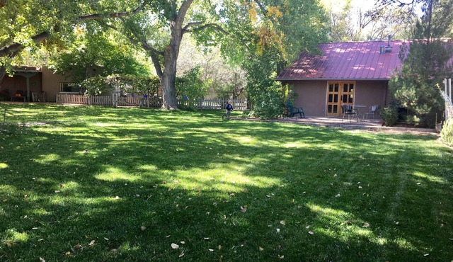Oasis in the City. 1 BD, 1 BA. ABQ, NM