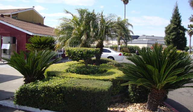 Oasis Inn Sacramento - Elk Grove