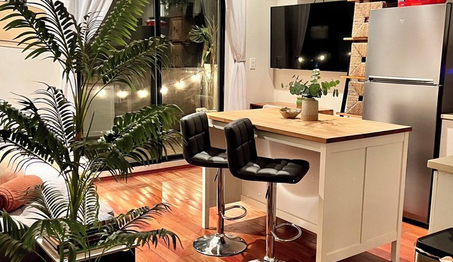 Oasis with Balcony in The Heart of Williamsburg