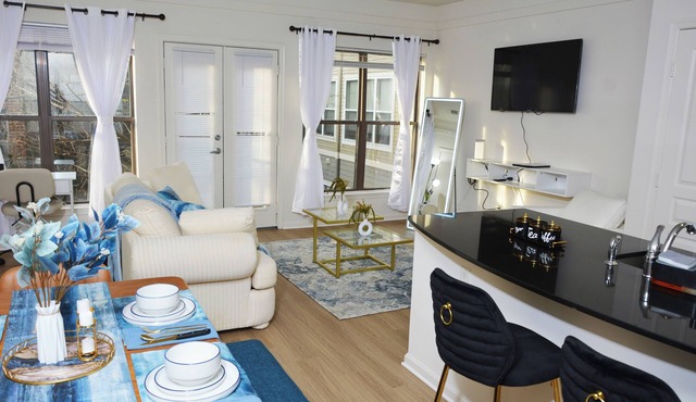 OasisCharming 2Bethroom+2baths FreeparkingWashingtonDCAnd ReaganNational Airport