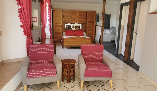 Occitanie, near Albi, in a former agricultural estate, with swimming pool