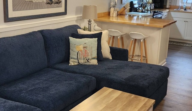 Ocean Block Dewey Beach and Pet Friendly!