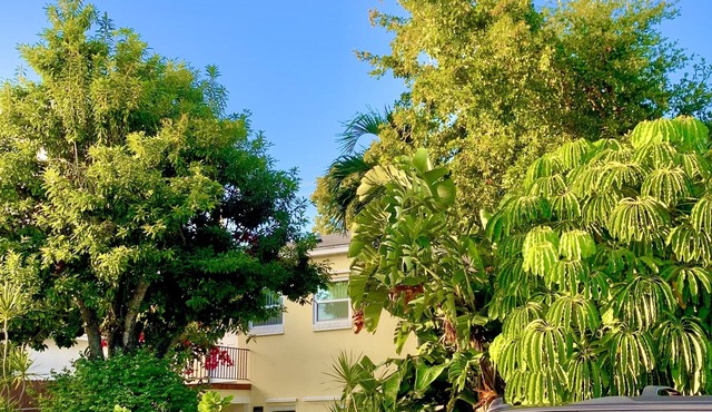 Ocean Breeze - Renovated 3bd/2ba (+Private Patio & Parking)