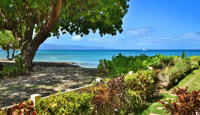 Ocean Front, Beach access! Cute Ground floor, Unit 104. Steps to the ocean!