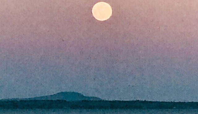 Ocean Front Home-Stone steps to Beach