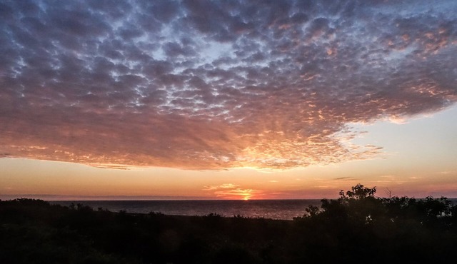 Ocean-front, second-floor one-bedroom apartment