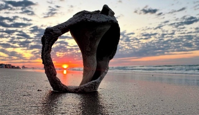 OCEAN FRONT SUNRISES. Summer escape for 2. King bed, spa shower, free parking