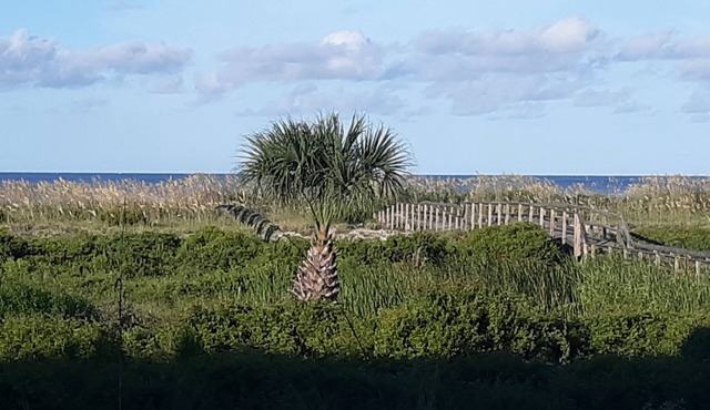 Ocean Front & pool view. Hunting Island pass included
