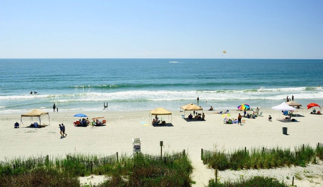 Ocean Front with Incredible Views - newly remodeled, pool, in-unit washer/dryer