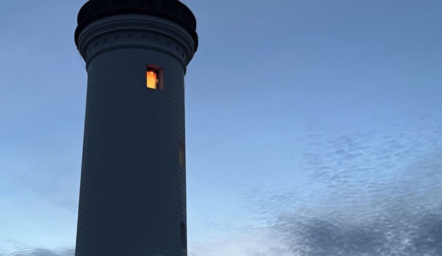 Ocean Hideaway Family and pet-friendly retreat in Toukley!