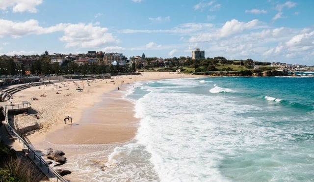 Ocean house - barefoot to Coogee beach, Sydney, pets welcome