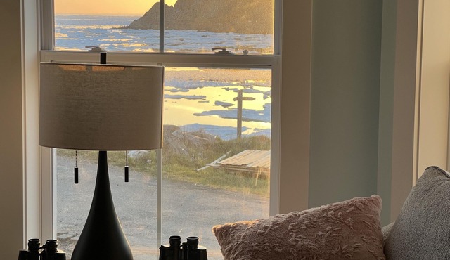 Ocean, Iceberg, Whale views!