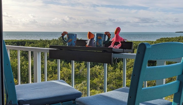 Ocean Oasis at Ocean Pointe Key Largo Pool Jacuzzi Beach in a Safe Gated Resort