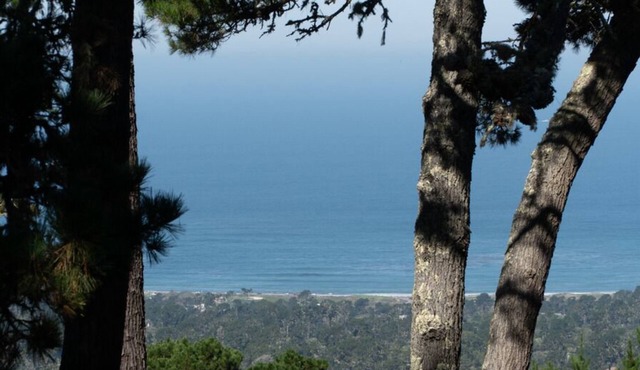 Ocean Pines #50 - Pebble Beach Condo - Oceanview, Top Floor with Elevator