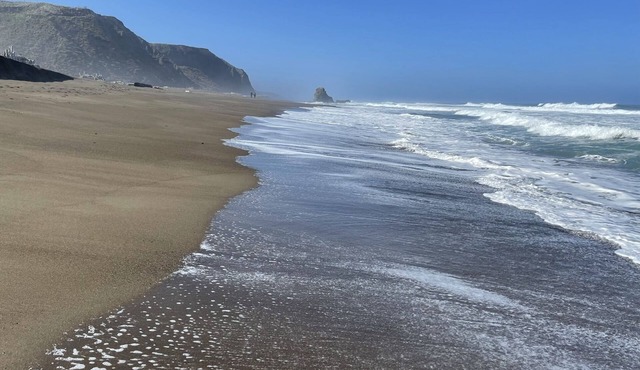 Ocean Retreat Sauna Hot Tub Walk 2 Beach Dog EVC