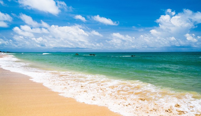 Ocean's Edge by Distinctive Beach Rentals