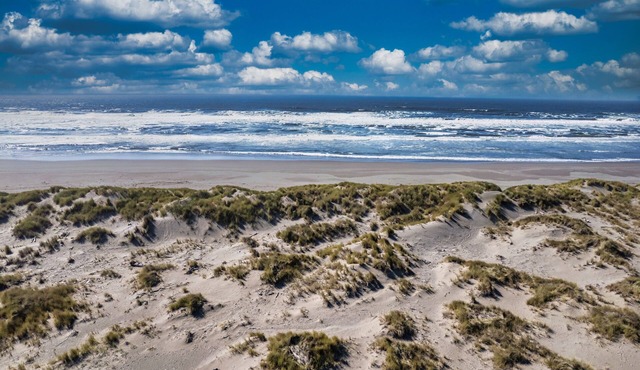 Ocean's Edge - Tropical Oceanview Oasis