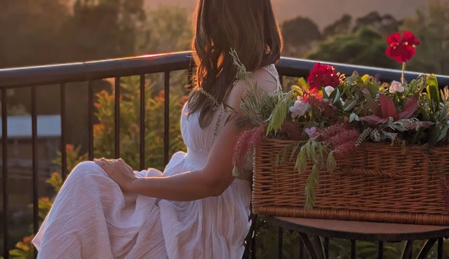 Ocean Sunrise from Bed 5BR Rainforest Home Waterfalls & Wineries Nearby