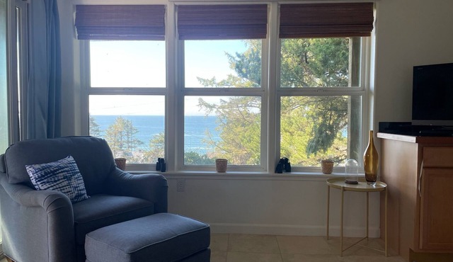 ocean view, backyard w/fire pit, 5 min walk to cafes/beach, dogs welcome