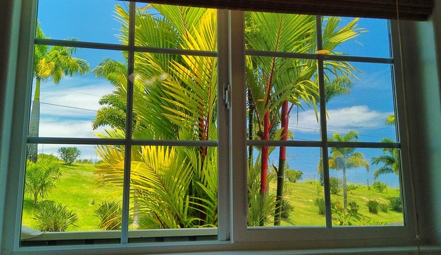 Ocean View Couple's Cottage with Fruit Orchard