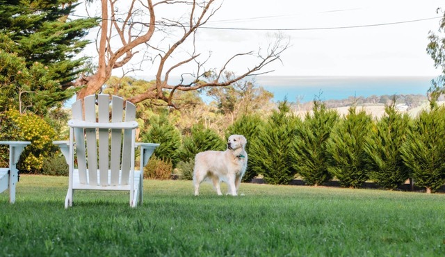 Ocean View House - Solar Heated Pool and Pet Friendly