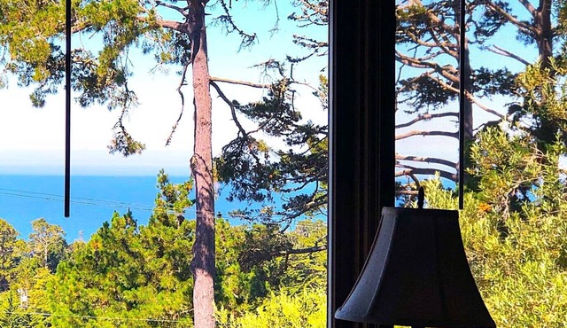 Ocean view large private bedroom/private bath #1