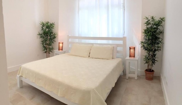 Ocean view luxury condo steps from the beach