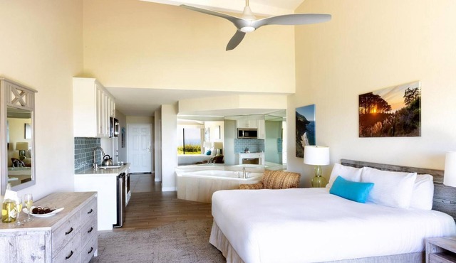Ocean View Spa Studio
