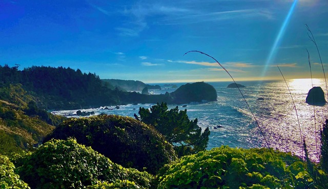 Ocean-view studio near redwoods and beaches—your basecamp for Trinidad adventure.