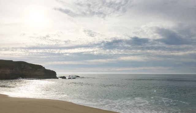 Ocean-view suite w/porch, walk to beach & nature