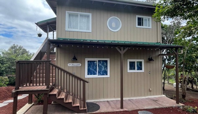 Ocean View /The Pineapple - Major renovations just completed.