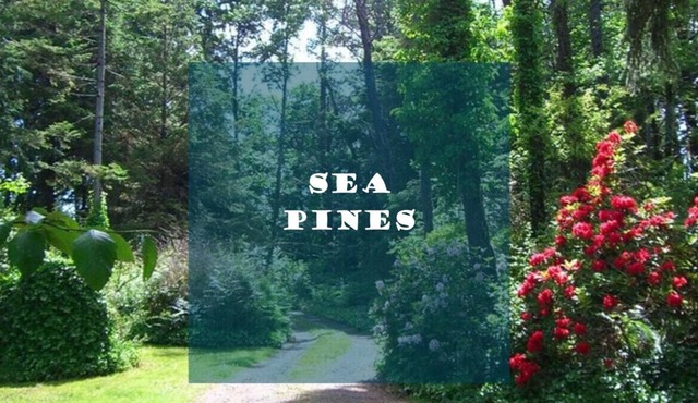 Ocean view with path to beach