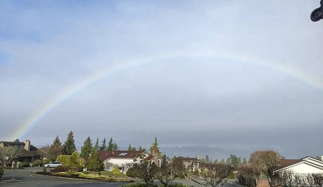 Ocean Views +EZ Ferry to San Juan Islands